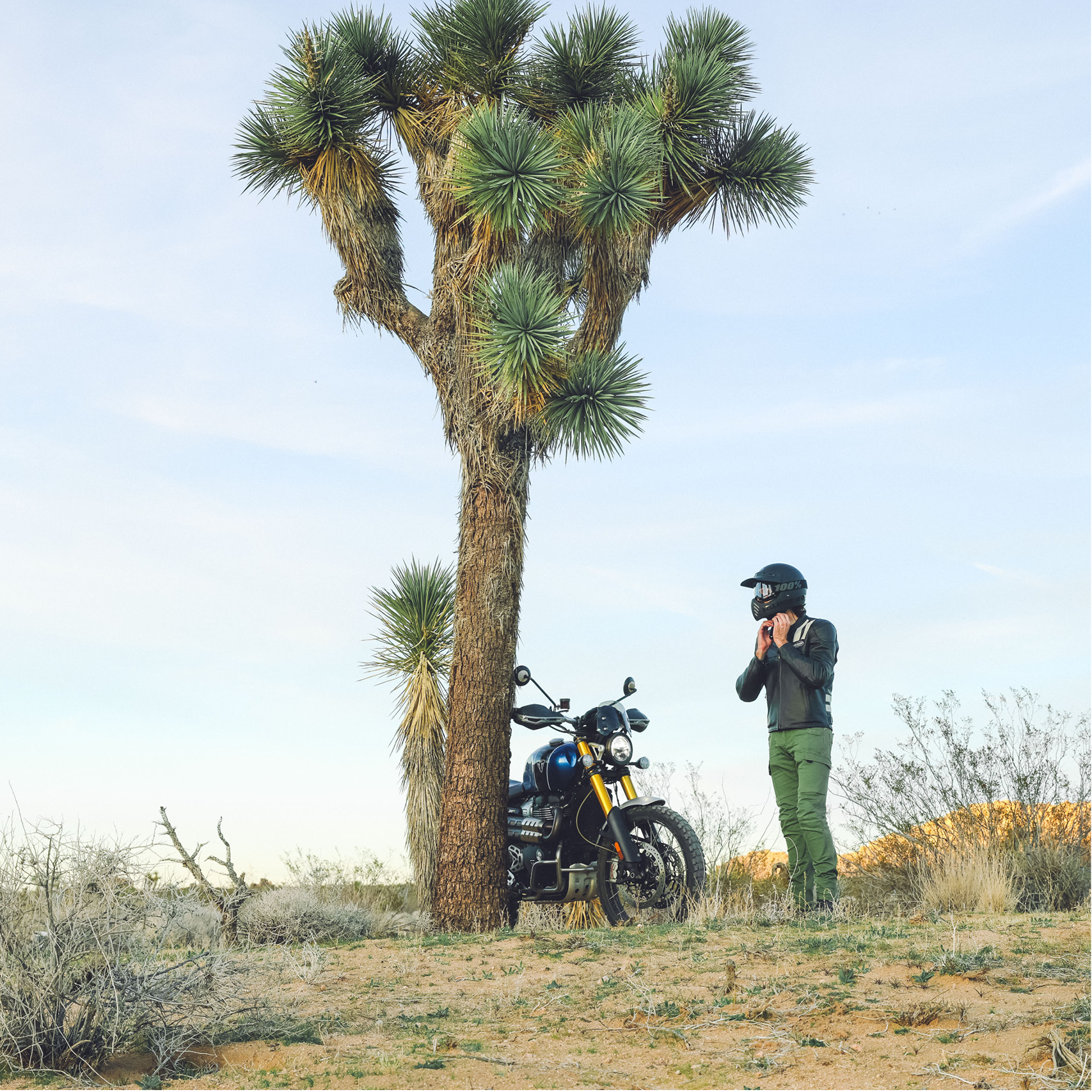 SPIDI STORIES ROAR FIELD TEST