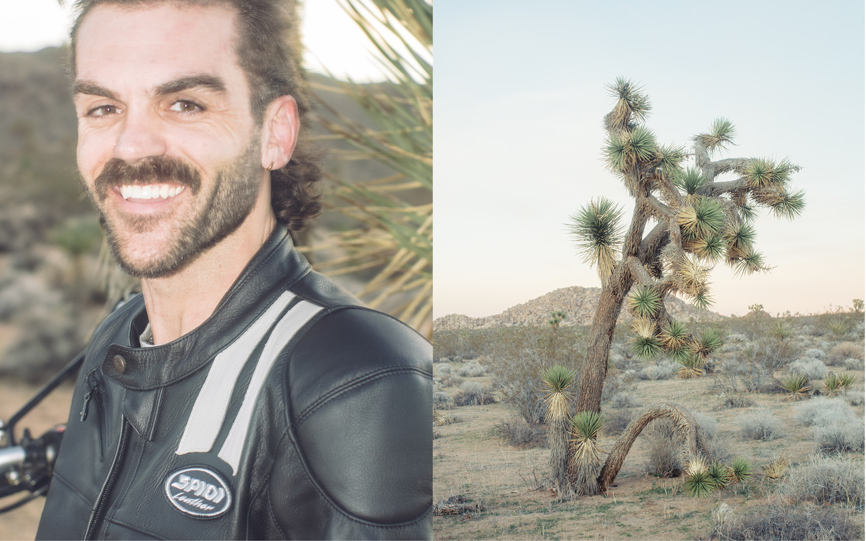 SPIDI STORIES ROAR FIELD TEST