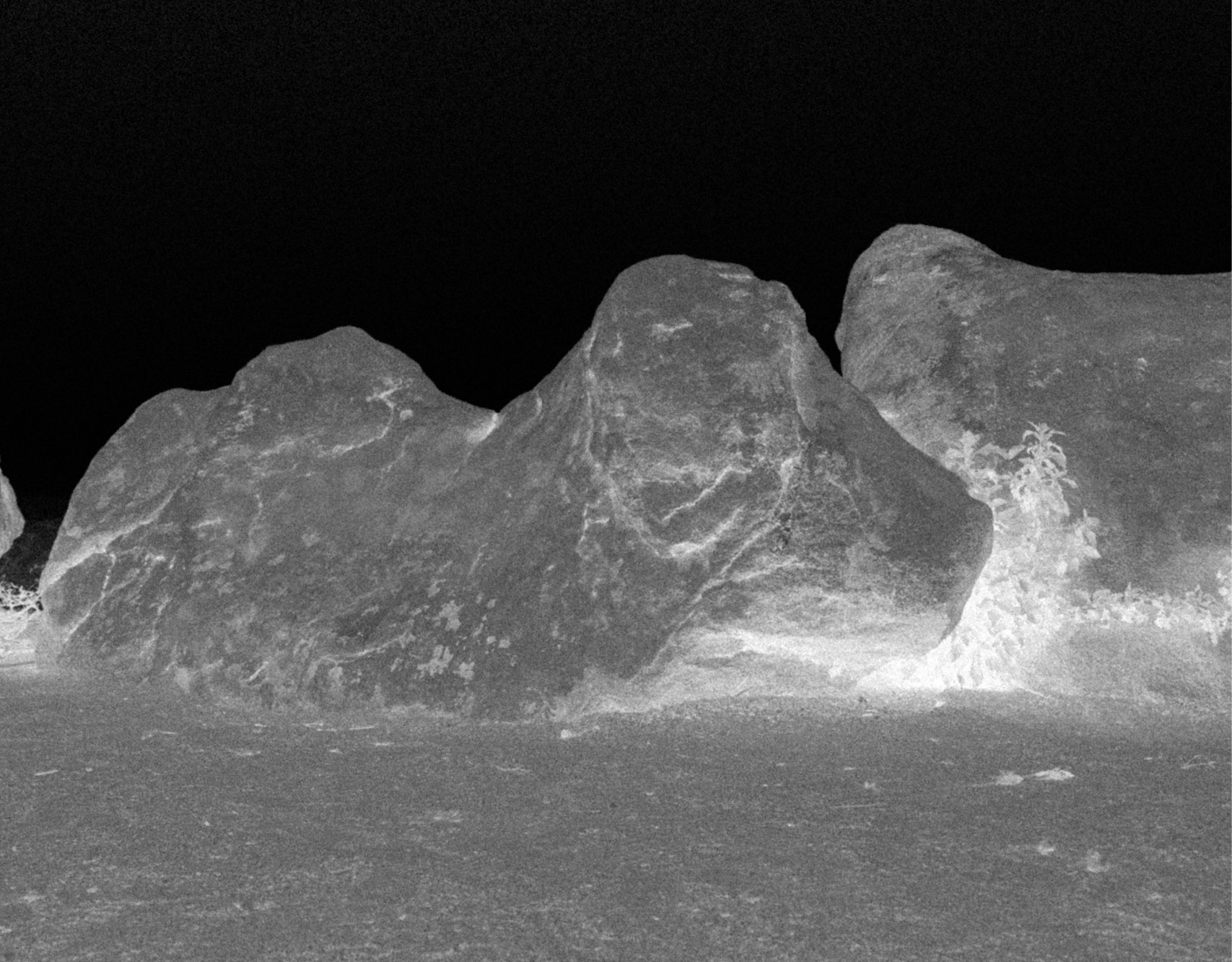 SPIDI STORIES MOON CALL RALLY