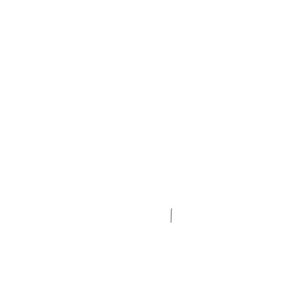 Italian Leather